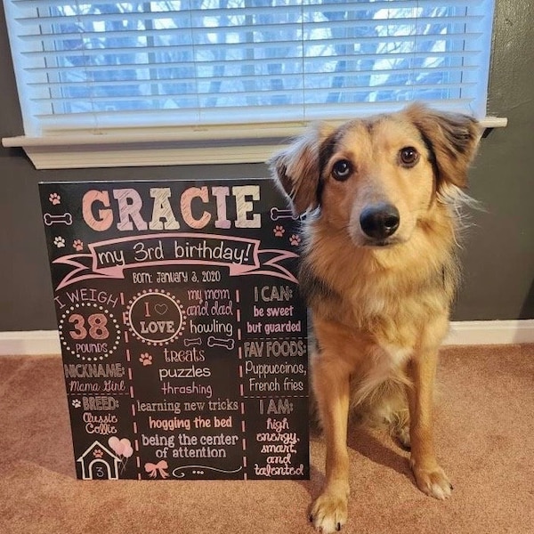 Dog's 10th Birthday Chalkboard Sign - Printable Dog Birthday Sign - Any Age - Dog's First Birthday Sign - Puppy Chalkboard - Dog Birthday