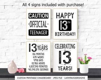 Printable 13th Birthday Signs - Fun 13th Birthday Party Decor - Boy or Girl 13th Birthday Gift - Easy To Print - Last Minute Party Signs
