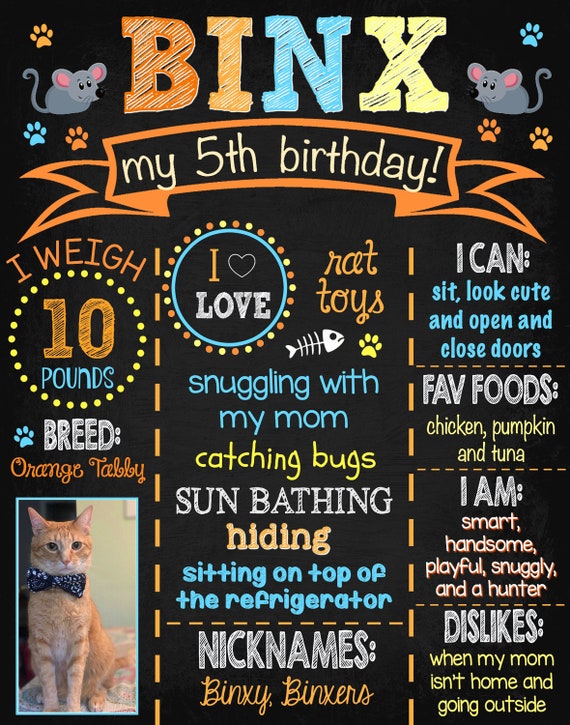Décoration anniversaire chat, panneau en bois - Print Your Love