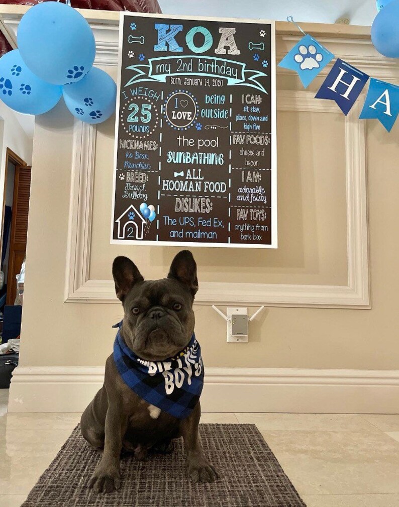 Puppy Party Chalkboard Digital Dog First Birthday Chalkboard Puppy Party Doggie's 1st Birthday BowWow Chalkboard Paws Woof image 10