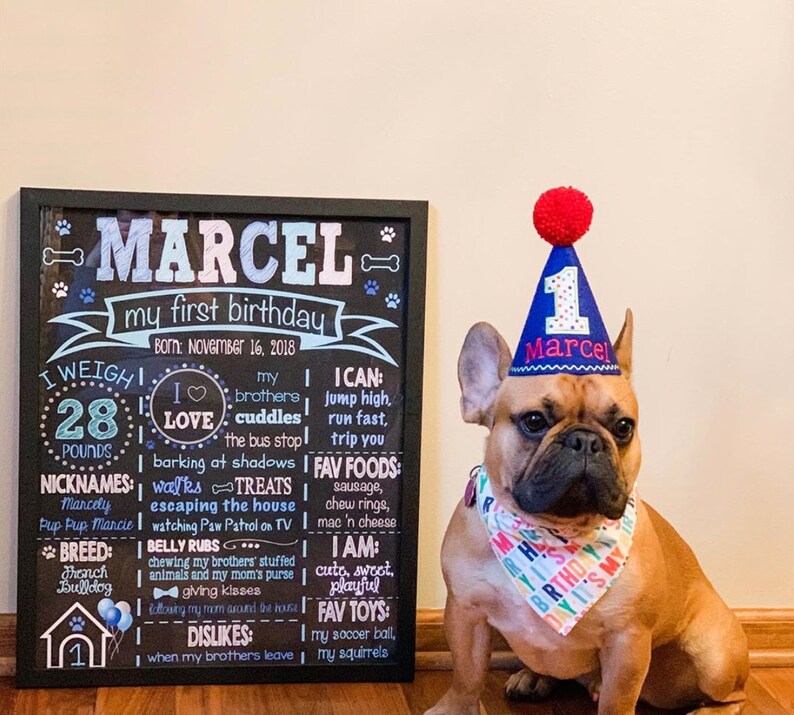 Puppy Party Chalkboard Digital Dog First Birthday Chalkboard Puppy Party Doggie's 1st Birthday BowWow Chalkboard Paws Woof image 2