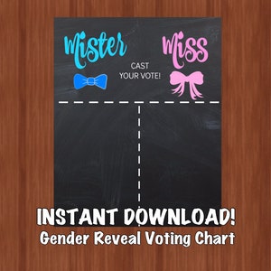 Tableau des votes pour le genre Monsieur ou Miss Monsieur ou Mademoiselle Rose ou bleu Vote pour l'identification du sexe Fête de révélation du sexe Déco image 4