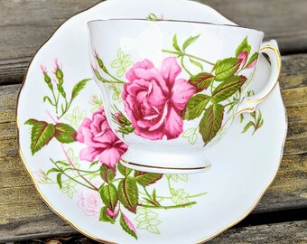 Numbered Teacup And Saucer Royal Vale Bone China Large Two Tone Pink Rose Pattern Drink Barware Drinkware Truongsinhhoc Com Vn