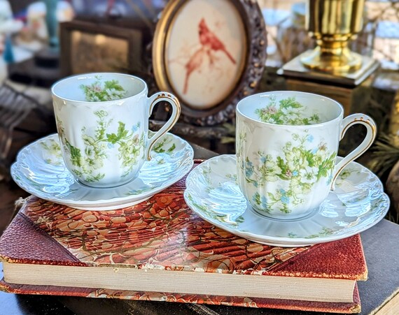 Vintage Haviland Limoges Demitasse Cup and Saucer Set Vintage Haviland Limoges Demitasse Cup and Saucer Set