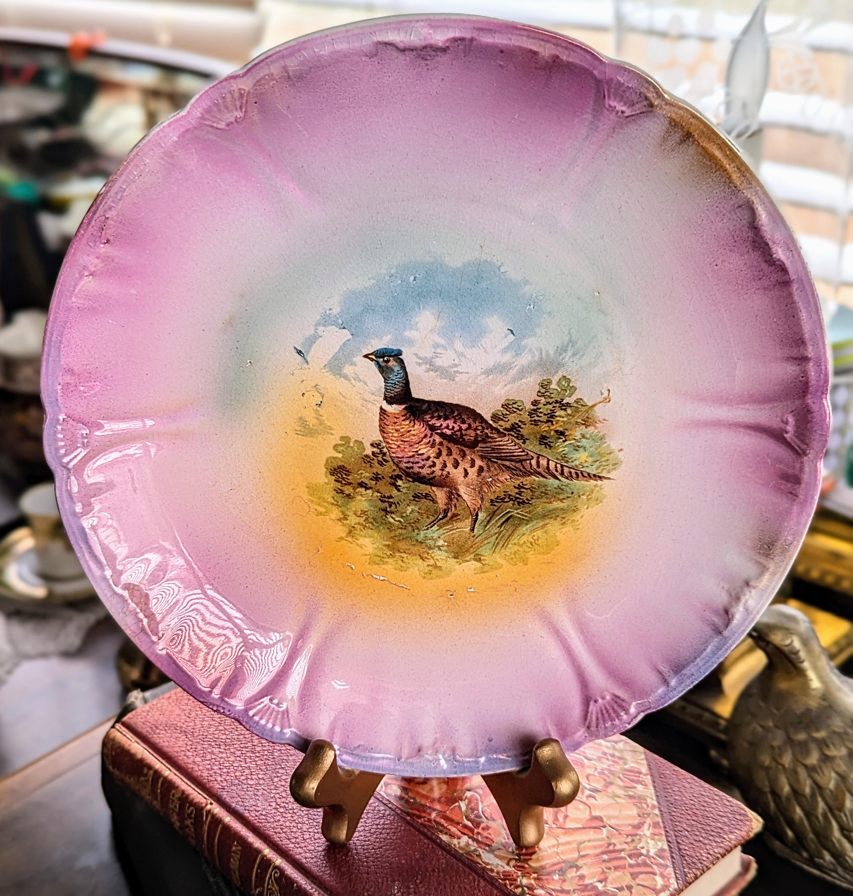 Shelley Plate Birds (DEB) Shelley Plate Birds (DEB)