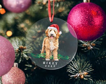 Può includere: Una decorazione natalizia rotonda in acrilico trasparente con un cane doodle color marrone dorato che indossa un cappello da Babbo Natale rosso e bianco. Il cane è sopra rami di pino verdi. Sotto, il testo riporta MIKEY 2025 in bianco.