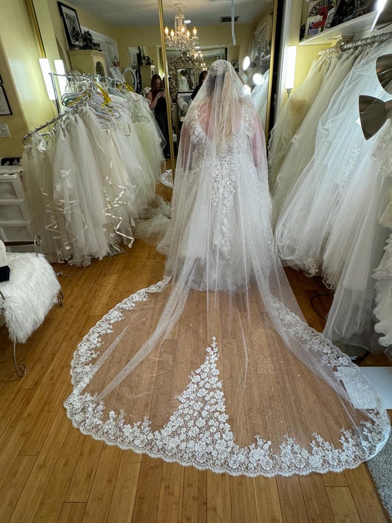 Silver Lace Glitter Wedding Veil: Sparkle Tulle, Cathedral  display picture 1