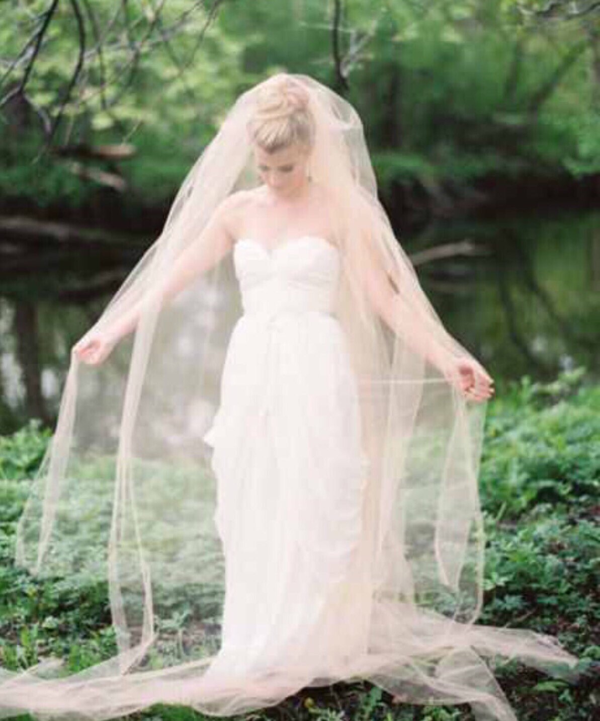 Blush Bridal Veil Bridal Veil Drop Veil Pale Pink Veil Etsy