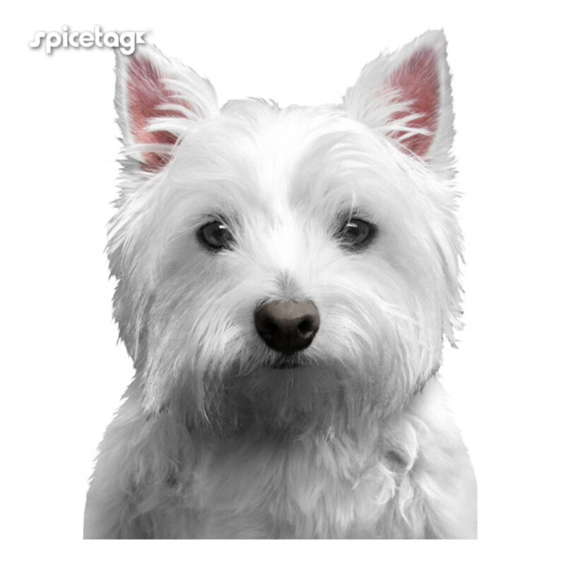 Westie Tshirt Cute Scotty Dog Tshirt Westies Dog Lover Top Etsy UK