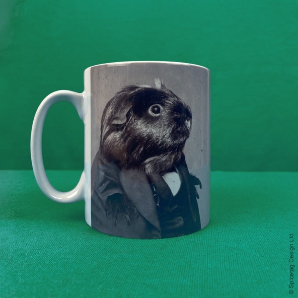 Guinea Pig Mug Vintage Downton Period Drama Culture Mugs Fan Made Cup Coffee Tea Vessel Geeky Nerdy Gift Present Cute Costume Pigs Piggies