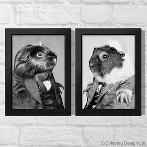 Set Of 2 Guinea Pig 5 x 7 Inch Print 5&quot; x 7&quot; Picture Pop Art Style Interior Decor Retro Homeware Design Star Pic Photo Vintage Black & White