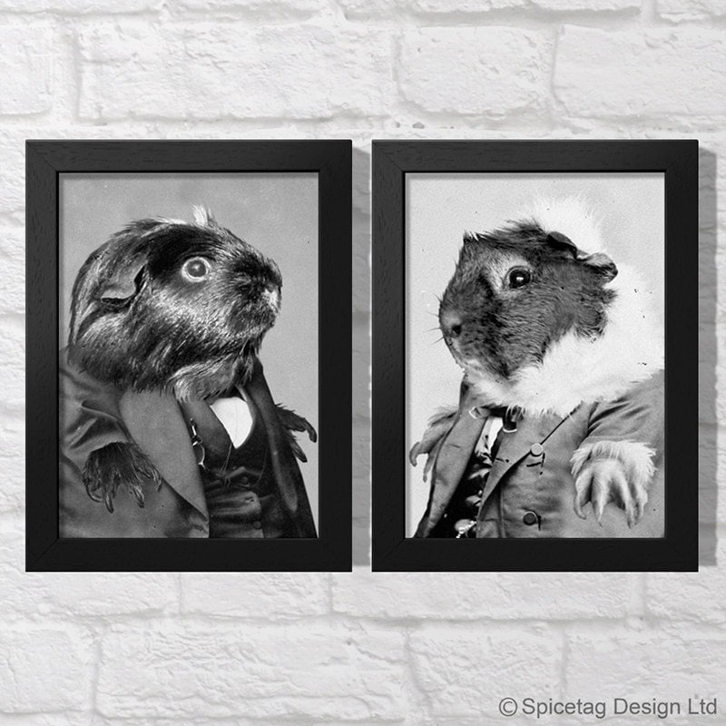 Set Of 2 Guinea Pig 5 x 7 Inch Print 5" x 7" Picture Pop Art Style Interior Decor Retro Homeware Design Star Pic Photo Vintage Black & White