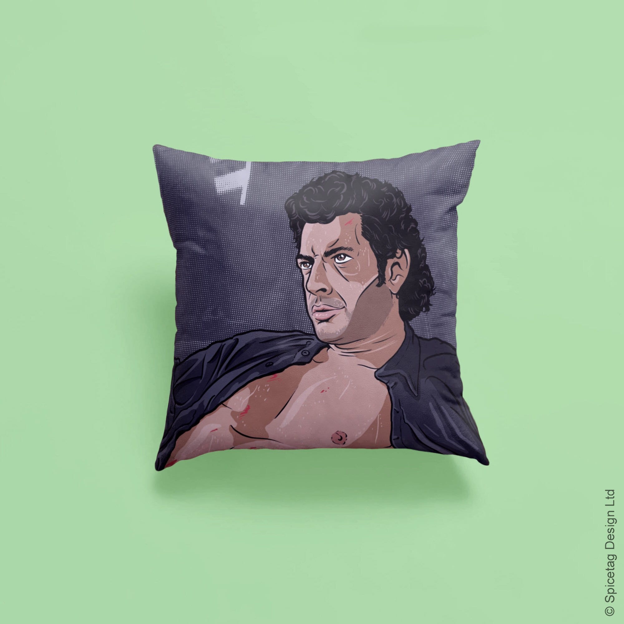 Jeff Goldblum Pillow Etsy