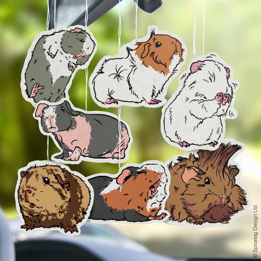 Guinea Pig Car Air Freshener Cars Novelty Gift Present Idea Piggy Show
