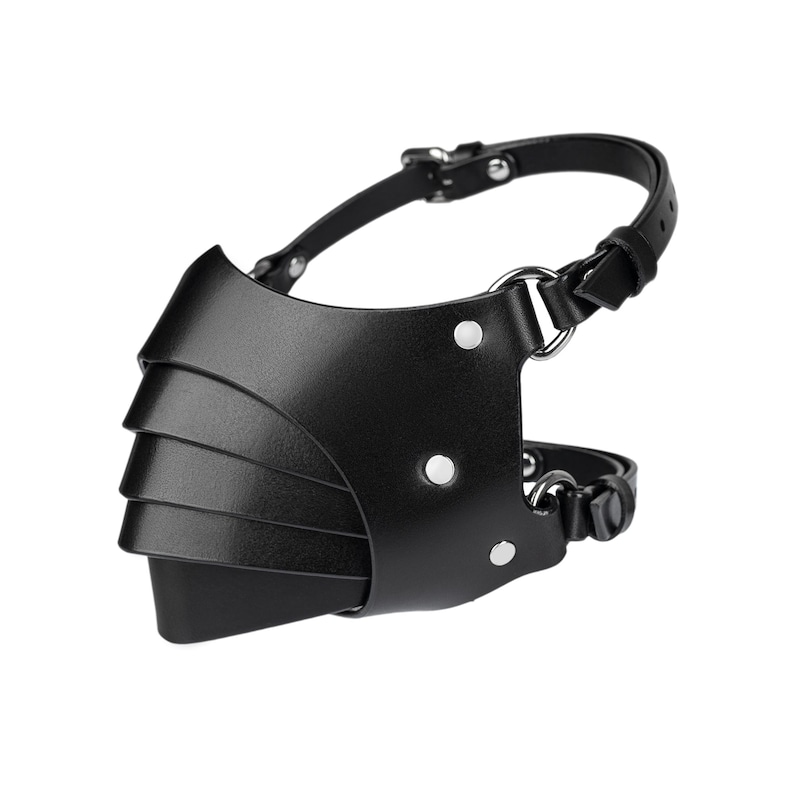 May include: Black leather muzzle with a layered design and silver hardware. The muzzle has a strap that goes around the head.