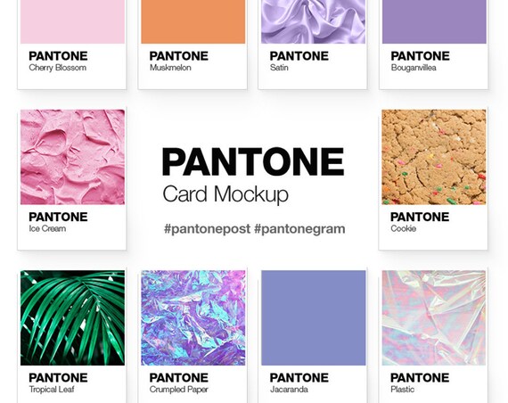 Pantone Color Card Mockup For Creating Pantonepost Pantonegram Moodboards Pantone Color Card Mockup For Creating Pantonepost Pantonegram Moodboards