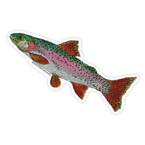 Rainbow Trout Sticker, Trout Fish Sticker, durable weather resistant UV vinyl for water bottles, laptops, car windows, tackle box