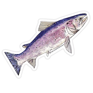 Fish Sticker, Atlantic Salmon Fish Sticker durable weather resistant UV vinyl for water bottles, laptops, car windows, tackle box