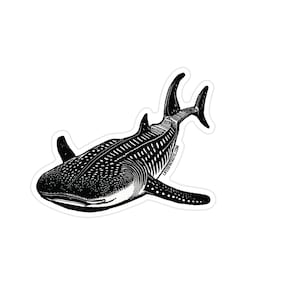 Whale Shark Sticker -Durable weather resistant UV vinyl for water bottles, laptops, car windows, surfboards & beach gear.