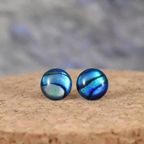 Blue paua abalone stud earrings, Natural abalone earrings, Beautiful shell earrings, Paua shell jewelry, Sea shell stud earrings