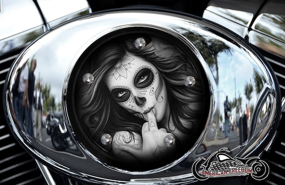 Harley Davidson Custom Made V Twin Cam Air Cleaner Insert