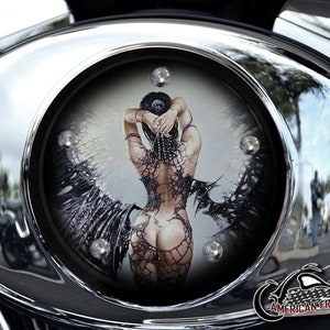 Harley Davidson Custom Made V Twin Cam Air Cleaner Insert & Mounting Kit - Booty Pearls