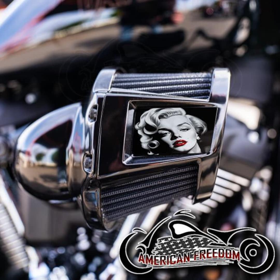 Harley Davidson Custom Aluminum 2019-2024 Heavy Breather Air