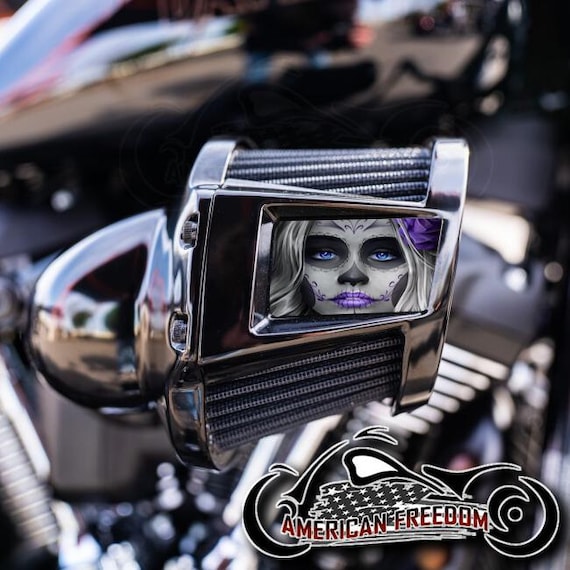 Harley Davidson Custom Aluminum 2019-2024 Heavy Breather Air