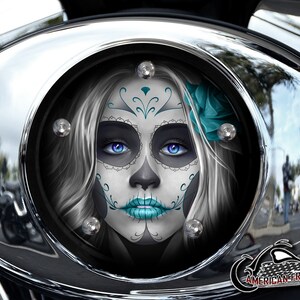 Harley Davidson Custom Made V Twin Cam Air Cleaner Insert & Mounting Kit - Sugar Skull Teal