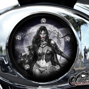 Harley Davidson Custom Made V Twin Cam Air Cleaner Insert & Mounting Kit - Red Lips Moon