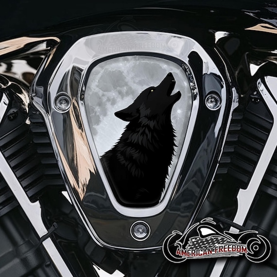 Indian Challenger Pursuit Powerplus Aluminum V Cover Inserts