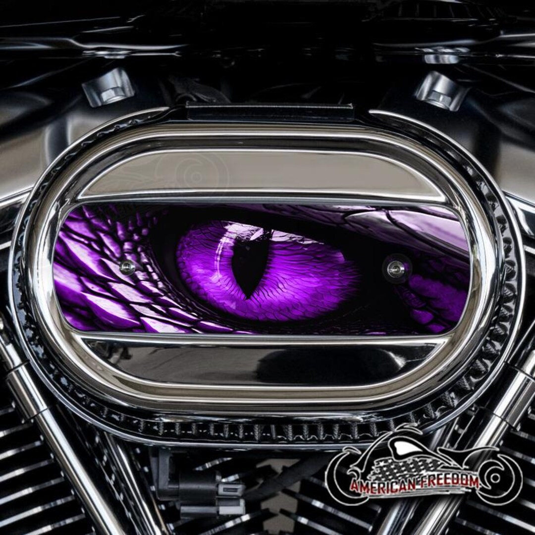 Harley Davidson Custom Made M8 Ventilator Aluminum Air Cleaner