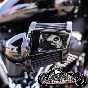 Harley Davidson Custom Aluminum 2019-2024 Heavy Breather Air Cleaner Insert - Day of The Dead Gal FU Middle Finger