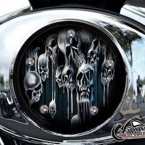 Harley Davidson Custom Made V Twin Cam Air Cleaner Insert & Mounting Kit - Melting Skulls