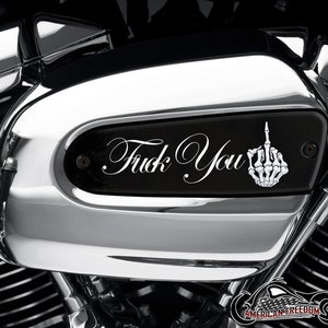 Harley Davidson Custom Made Aluminum Touring Wedge Air Cleaner Insert and Mounting Kit - 107 & 114 Milwaukee 8 - F You