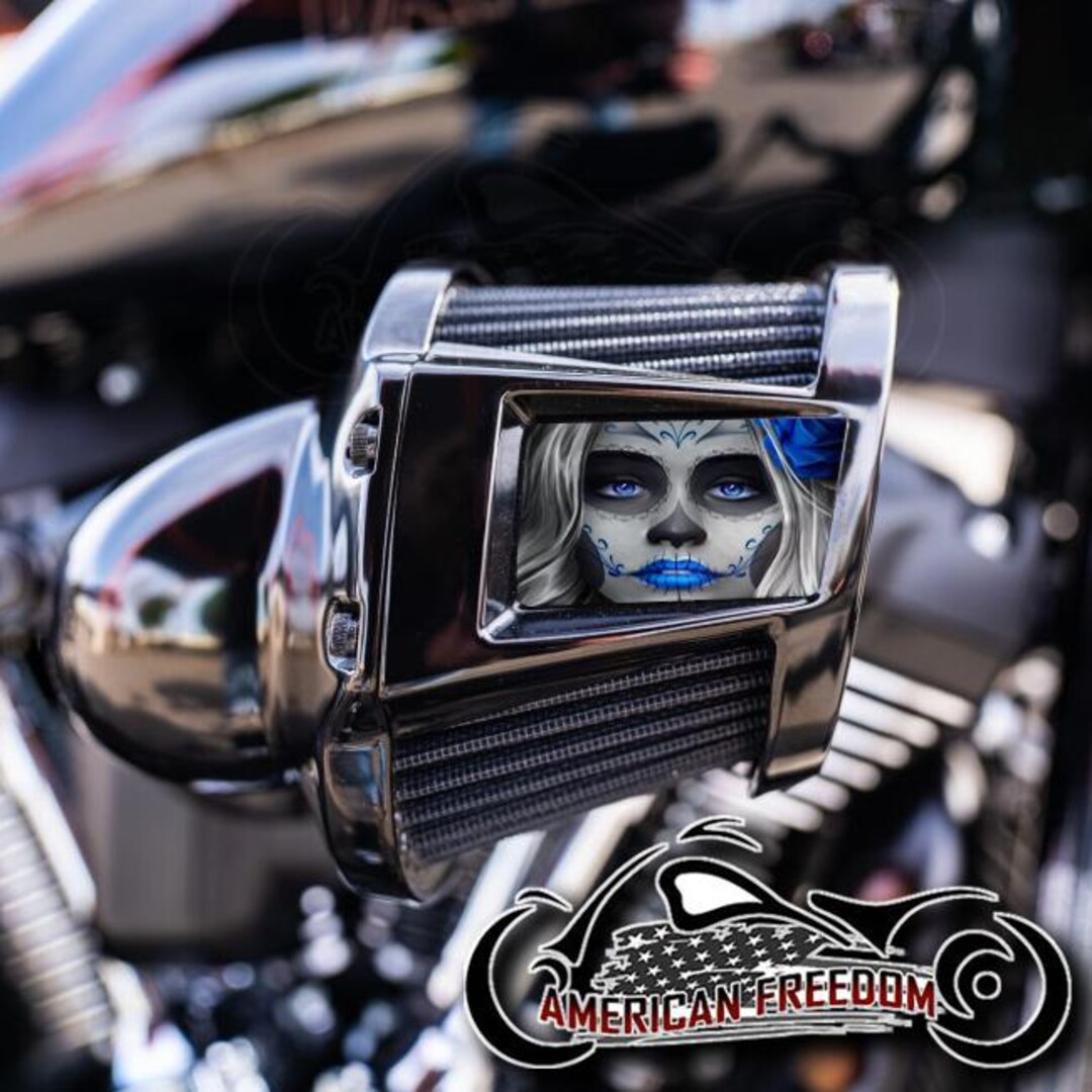 Harley Davidson Custom Aluminum 2019-2024 Heavy Breather Air