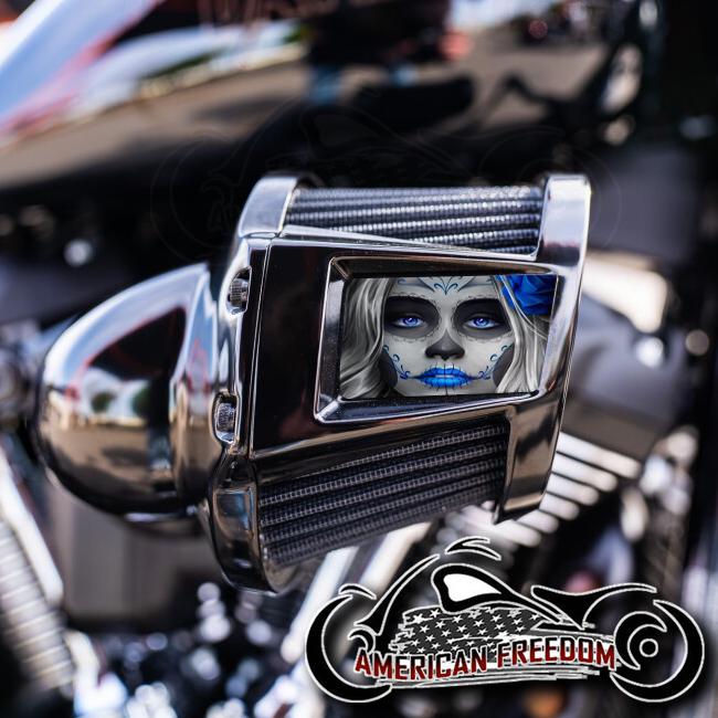 Harley Davidson Custom Aluminum 2019-2024 Heavy Breather Air