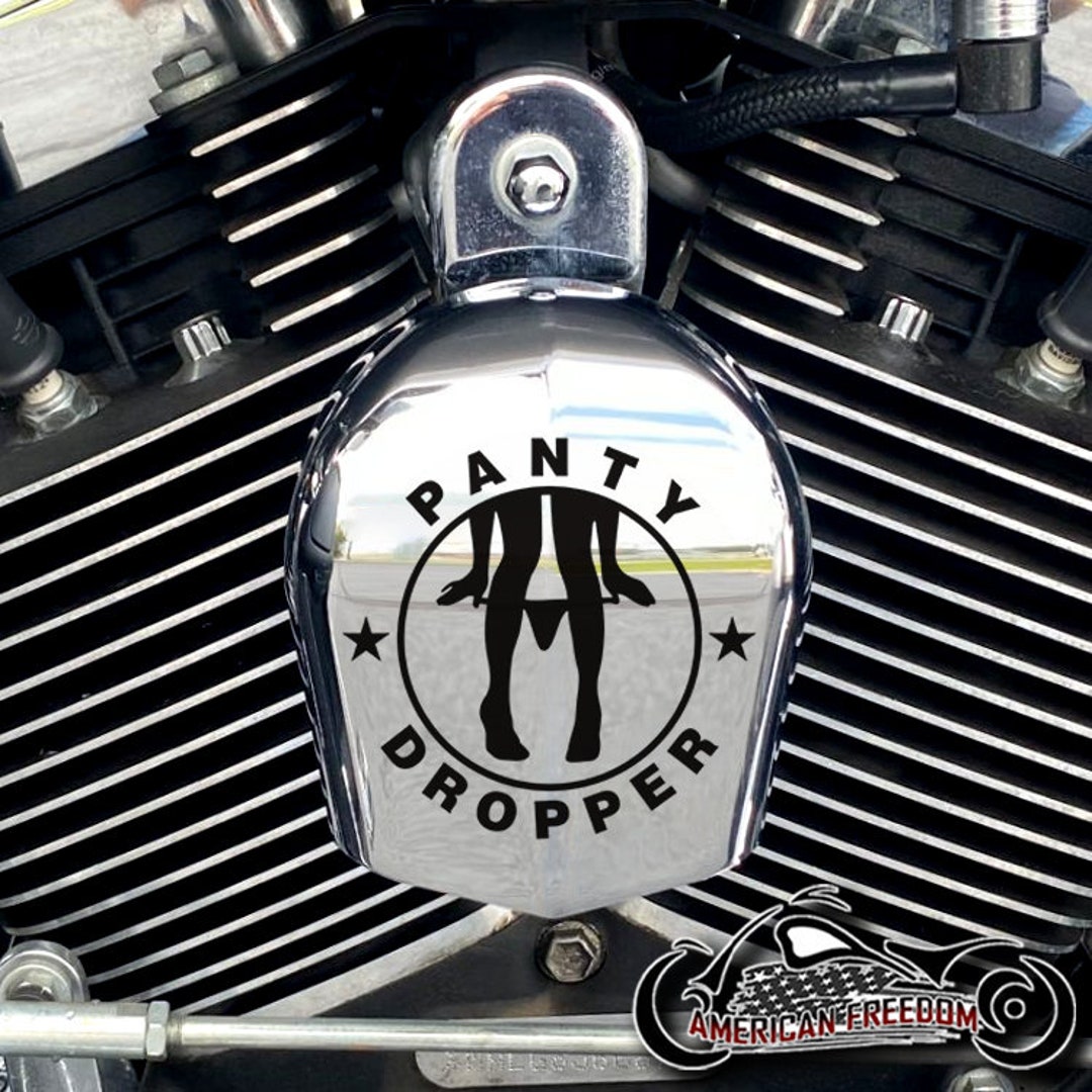 Harley Davidson CHROME Custom Made Horn Cover Panty Dropper Etsy