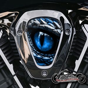 Könnte beinhalten: Ein verchromter Motorradeinlassdeckel mit einem blauen und grauen Schlangenaugen-Motiv.