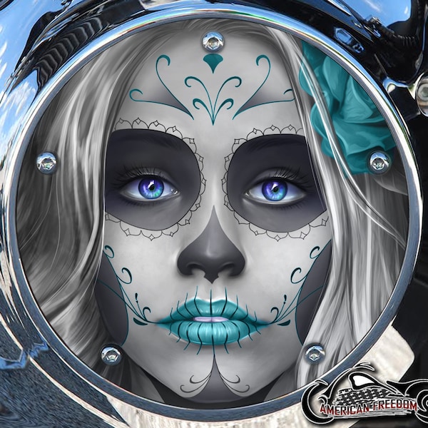 Harley Timing Cover Etsy