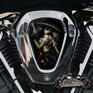Indian Challenger Pursuit PowerPlus Aluminium V-Cover-Einlagen - Bandita