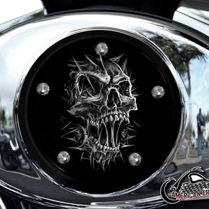 Harley Davidson Custom Made V Twin Cam Air Cleaner Insert & Mounting Kit - Webbed Skull