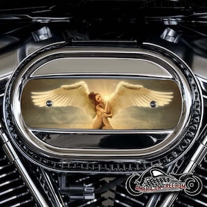 Harley Davidson Custom Made M8 Ventilator Aluminum Air Cleaner Insert - 114 & 117 Milwaukee 8 - Champagne Angel