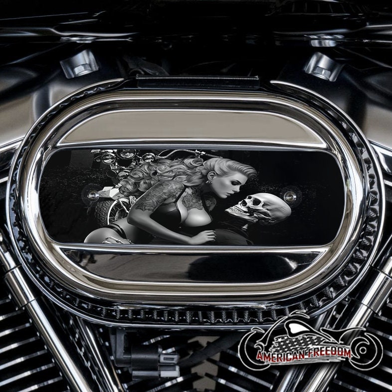 Harley Davidson Custom Made M8 Ventilator Aluminum Air Cleaner