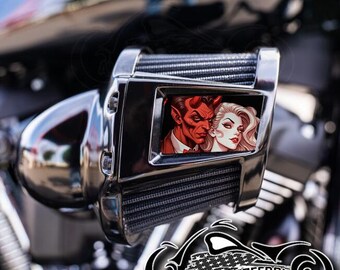 ハーレー 114 M8 エアクリーナー インサート - FXLRS カットアウト 