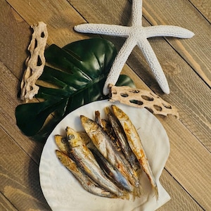 Arctic Feast  Alaska Herring infused with Turmeric for Hermit Crabs