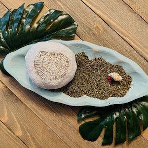Ocean Greens  Kelp Meal for Hermit Crabs
