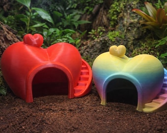 Heart Hideout Habitat with Stairs | Hermit Crab & Reptile Enrichment Hide
