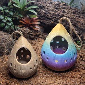 Hanging Hermit Crab Hideout Pod | Natural Terrarium Decor