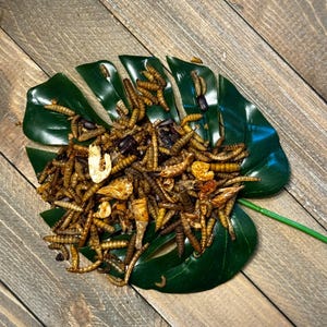 Fab Four Protein Mix  Soldier Fly Larvae, Mealworms, Shrimp & Beetles